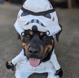 Stormtrooper dog costume - XL
